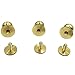 BALABALA 24 Sets Sam Solid Brass Button Studs Rivets Screwback Screw Back Spots for DIY Leather Craft Belt Purse Handbag and More (4 Sets per Size)