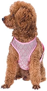 Petperi Dog Harness and Leash Set,Summer Cool Dog Clothes,Adjustable and Breathable Dog Training Walking Leash Collar for Large/Medium/Small Dog (XL(12-20 lb), Pink)