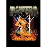 LPGI Pantera Girl South Fabric Poster, 30 by 40-Inch