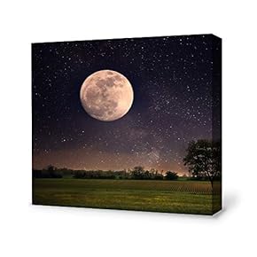 Canvas Wall Art for Living Room,Bedroom Home Artwork Paintings Charming Moon Ready to Hang - 12x12 inches