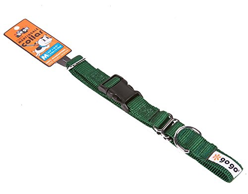 GoGo Pet Products GoGo 3/4-Inch Martingale Dog Collar, Medium, Hunter Green