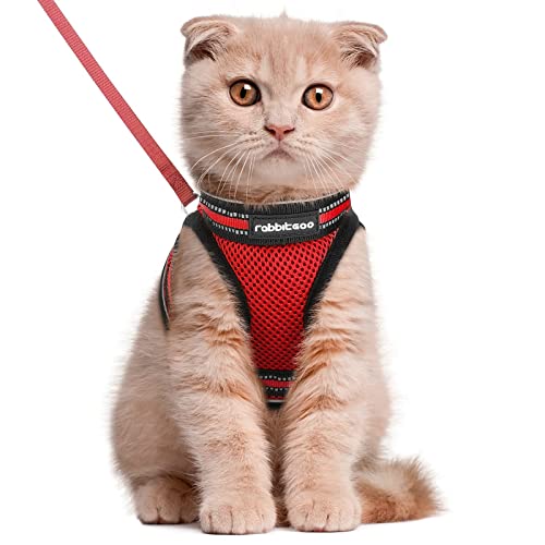 rabbitgoo Cat Harness and Leash Set for Walking