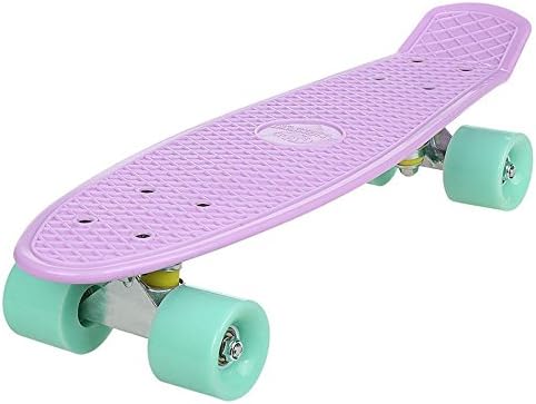 Mini Cruiser Skateboard Complete 22" Skateboard Retro Fish Skateboard for Teens Kids Beginners