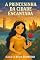 Livro A Princesinha da Cidade Encantada