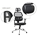 Ergonomic Office Chair Mesh Computer Desk Chair High Back Swivel Task Executive Chairs with Lumbar Support Adjustable Backrest Headrest Armrest Seat Height for Home Office Conference, Black TIKI-14