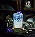 Butterfly Pea Flower Tea Dried Butterfly Pea Flowers | 100% USDA Organic | Glass Jar | NON GMO | Gluten Free | Antioxidants | For Gift | 0.71 Oz. – by WanichCraft