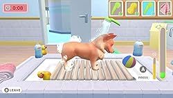 My Universe: Pets Edition