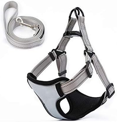 Ltlhxm 犬用ハーネス 犬用ベストハーネス 通気性 軽量 2個セット ペット用ベスト ハーネス 小型中型犬用 スポーツハーネス アウトドアトレーニングウォーキング用 S グレー 123 023 401 Grouponesecurity In