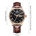 BUREI Men's Simple Classic Wrist Watches Date Day Calendar Brown Calfskin Leather with Black Dial
