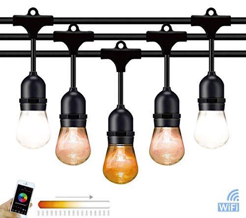 FOXLUX Outdoor String Lights - 48FT Dimmable Smart Outdoor Lights, S14 Plastic Shatterproof and Waterproof LED Lighting, 24 Hanging Sockets, WiFi Control(iOS & Android), Compatible with Amazon Alexa