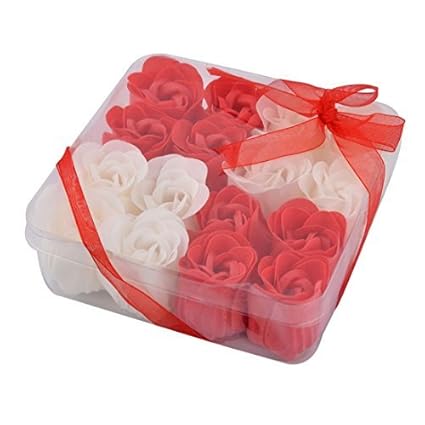 Amazoncom Edealmax Memorial Day Cadeau Forme De Fleur De