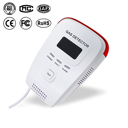Top 10 Best Gas Detectors For Home Natural Gas Top Reviews No Place