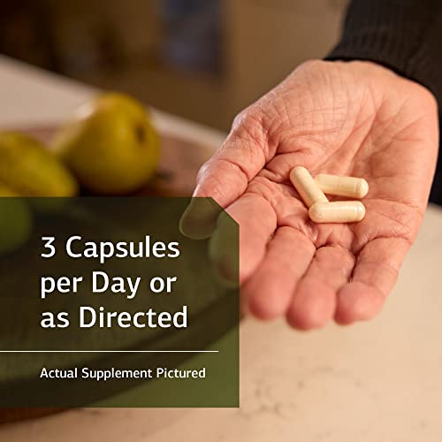 Standard Process AC Carbamide GlutenFree Kidney Support Supplement