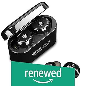 (Renewed) Zebronics Peace Wireless Earphone (Black)