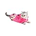 BXT Cats Puppy Soft Spring Fall Winter Cold Proof Warmer Coral Velvet 2 Sleeves Coat Sweater Clothes Hoodies Jumpsuit with Pocket(Rose,M)
