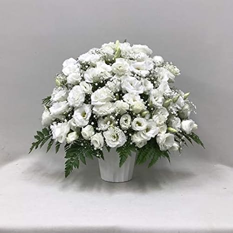Amazon 供花 トルコキキョウとカスミソウのアレンジ H50 奥行 約30cm 幅 約50cm 高さ 約50cm フラワーアレンジメント オンライン通販