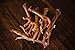 Sancho & Lola's Dehydrated Chicken Feet for Dogs - Organic Texas-Sourced Sustainably-Raised 12 Count Human-Grade USA Made Dog Chews Collagen, Glucosamine & Chondroitin - Raw Diet Approved