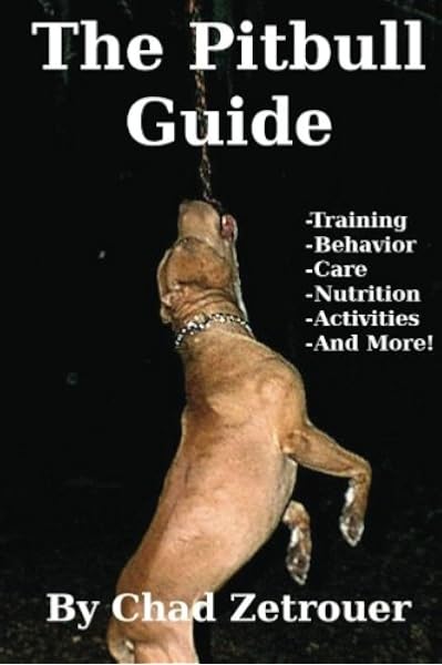 liver and white working cocker spaniel