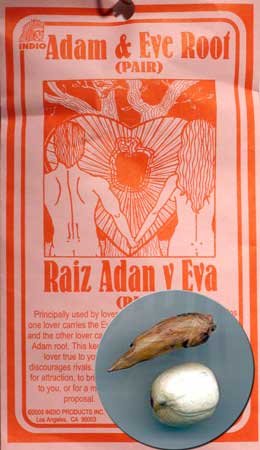 Pair Of Adam & Eve Roots