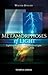 Metamorphoses of Light: Lightning, Rainbows, and the Northern Lights: A Spiritual-Scientific Study by