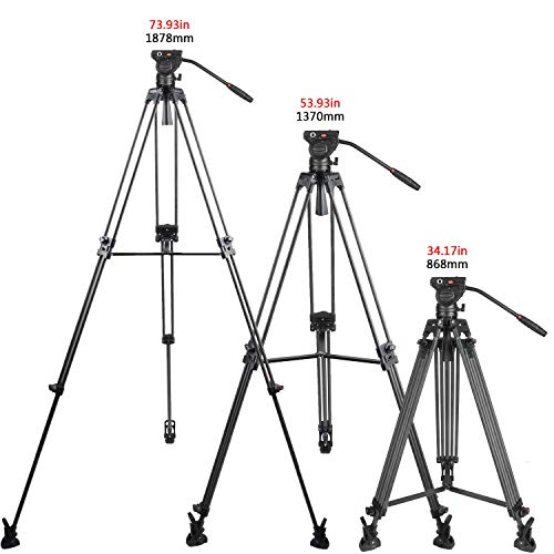 Cayer BV25LH Video Tripod System, 74 inch Carbon Fiber Professional