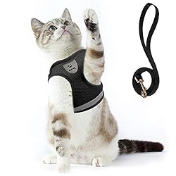Supet Cat Harness and Leash Set for Walking and