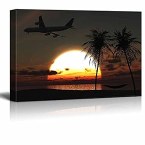 an Airplane Flying Over a Tropical Beach at...