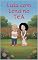 Livro Luia com Lena no TEA: O encontro dos espectros (O menino que jamais cresceu)