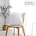 Oubonun 22 x 22 Throw Pillow Inserts (Set of 2) with 100% Cotton Cover - 22 Inch Square Interior Sofa Decorative Pillow Insert Pair - White Couch Pillow