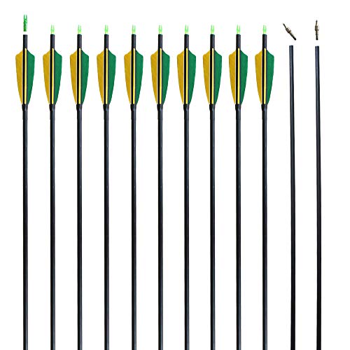 REEGOX Archery Hunting Practice Arrows for Compound and Recurve Bow30