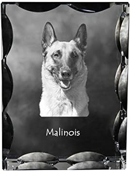 Artdog Ltd Malinois Cristal Cubique Avec Un Chien Souvenir Decoration Edition Limitee Collection Amazon Fr Cuisine Maison