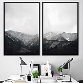 signwin 2 Piece Framed Canvas Wall Art Monochromatic...