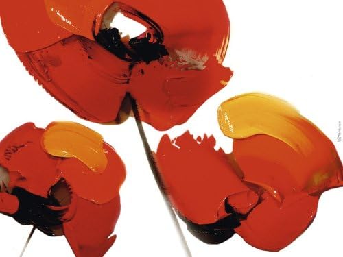 Tibi Hegyesi "Three Poppies White Canvas Print, Multi-Colour, 60 x 80 cm