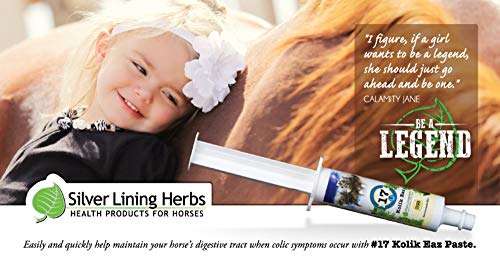 Kolik Eaz: Relief of Horse Colic and Bad Digestion | Improving Horse Gut Health and a Return To a Normal Gastrointestinal Tract | 80cc Paste | Made In USA by Silver Lining Herbs With Natural Herbs