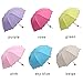 Umbrellas Protect waterproof and easy to carry Anti-UV Sun/Rain flowers Folding Umbrella Women Bumbershoot Beige