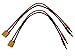 Apex RC Products XT90 Connector Plug -> 4mm Banana Plugs Battery Charge Lead Adapter Cable - 2 Pack 1416