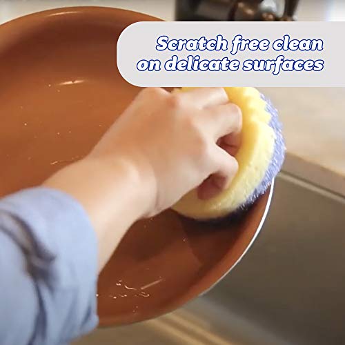 4 Scrub+Daddy+Dual+Sided+Scrubber+Scratch