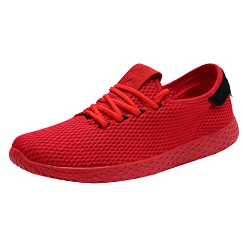Sport Men's Equalizer Coast to Coast Mule