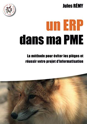 Un ERP dans ma PME (French Edition) by Jules Rémy
