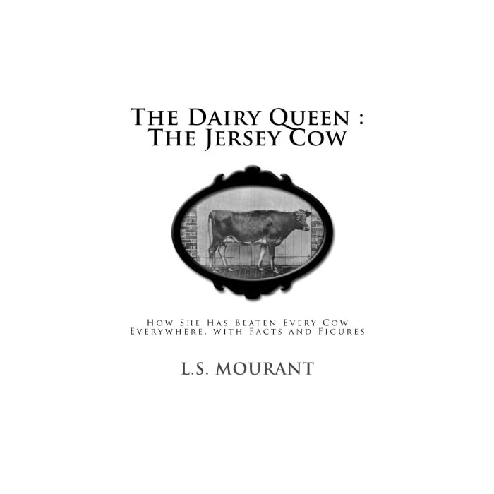 Buy The Dairy Queen The Jersey Cow How She Has Beaten Every Cow