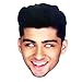 Mask-Arade Men's Zayn Malik One Direction Mask