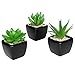 MyGift Set of 3 Modern Home Decor Mini Succulent Artificial Plants with Square Black Ceramic Pots