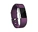 Fitbit Charge 2 Accessory Band, Plum, Small