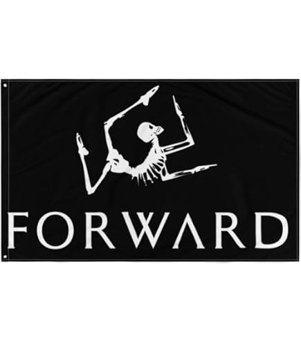 その他 forward Observations Group flag forward observations group Flag | eBay