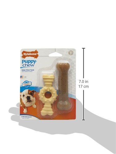 Nylabone Puppy Chew Chicken Puppy Toy Twin Pack, X-Small