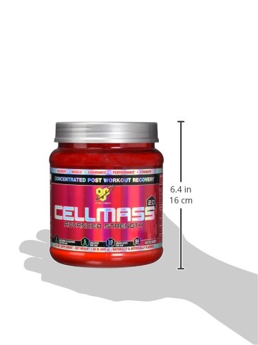 BSN CELLMASS 2.0 - Arctic Berry, 1.09 lb (50 Servings)