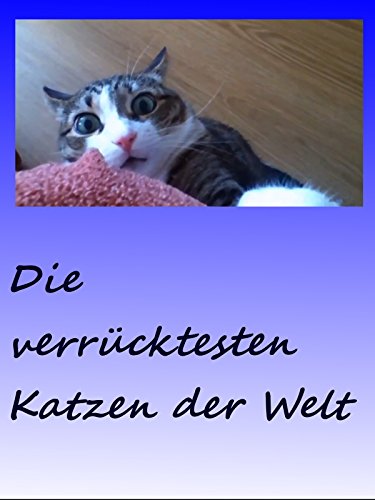 Download Die verrücktesten Katzen der Welt / The craziest cats in the world Download Die verrücktesten Katzen der Welt / The craziest cats in the world