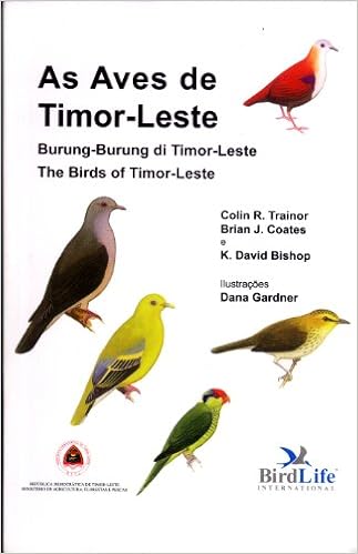 As Aves De Timor Leste Burung Burung Di Timor Leste The