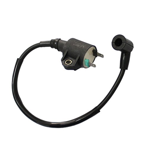 HIFROM Ignition Coil for Harbor Freight Chicago Electric Storm CAT 63cc 2hp 800 900 Watts 60338 66619 69381 Generator