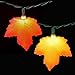 Fall Harvest Leaves Party String Lights